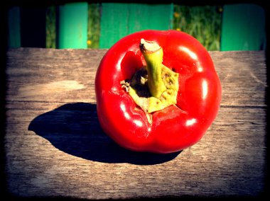 Çiçekli Sakura Şubesi