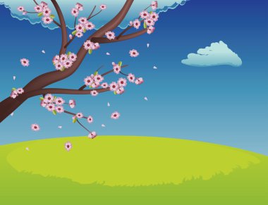 Çiçekli Sakura Şubesi