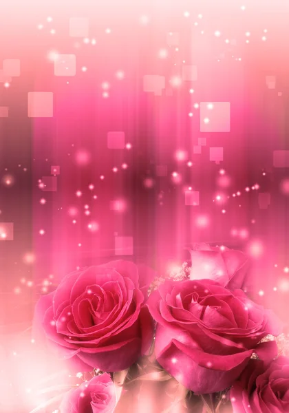 Roses in a Magic Light — Stock Photo, Image