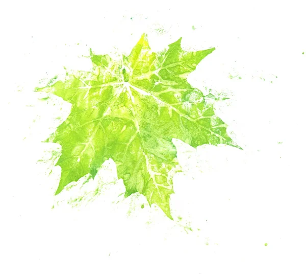 Imprint of Maple Leaf — Stock Photo, Image