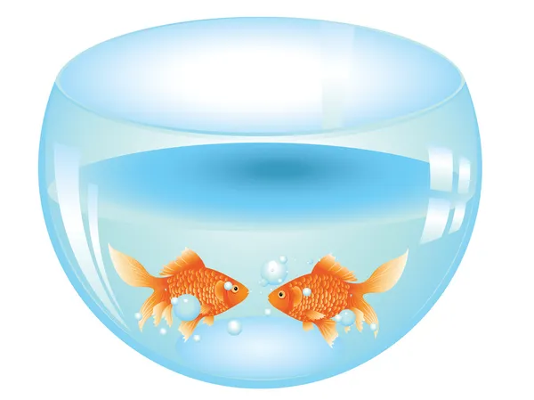 Gold Fish in Aquarium — Stock Vector