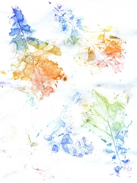 Folhas de carvalho coloridas — Fotografia de Stock