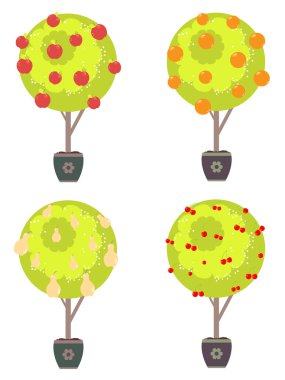 bir ağaç içinde farklı meyve