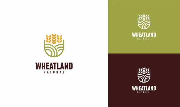 Grain Wheat Field Logo Concept Agricultura Trigo Logo Plantilla Vector — Vector de stock