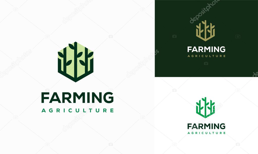Flora Leaf Nature logo designs concept vector, Pottery logo sign, Agriculture Farming logo designs symbol
