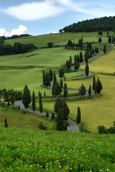 Bochtige weg met cipressen in Toscane — Stockfoto