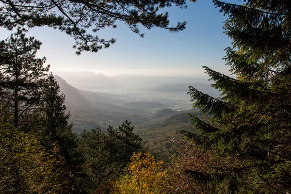 Vista da manhã do vale de Vipava — Fotografia de Stock