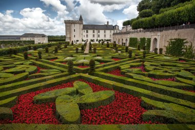 azay-le-rideau kale Bahçe
