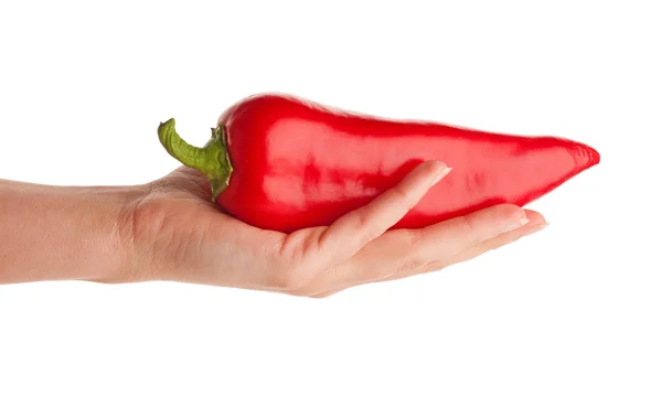 Chilipfeffer in der Hand — Stockfoto