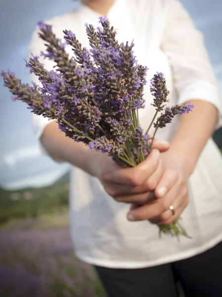 Donna che tiene fiori di lavanda — Foto Stock