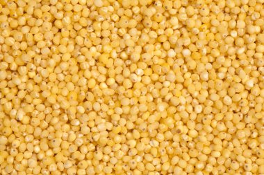 Millet!
