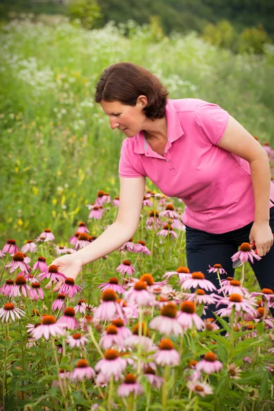 Vrouw in hoornbloem veld — Stockfoto