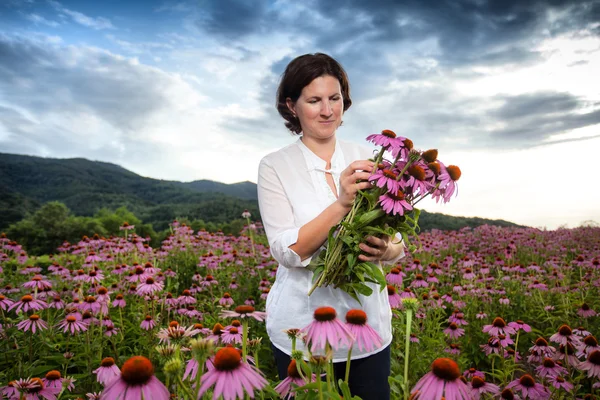 Woman in coneflower field — Stock Photo, Image