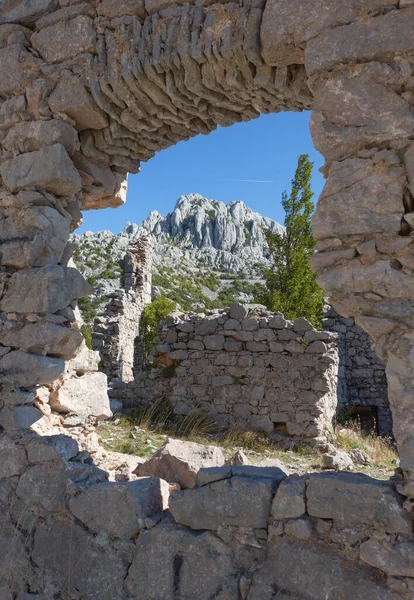 Mészkő Kőképződés Tulove Grede Velebit Nemzeti Parkban Horvátországban — Stock Fotó