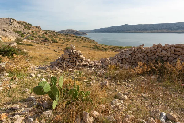 Landsbygdsdelen Pag Island Kroatien — Stockfoto