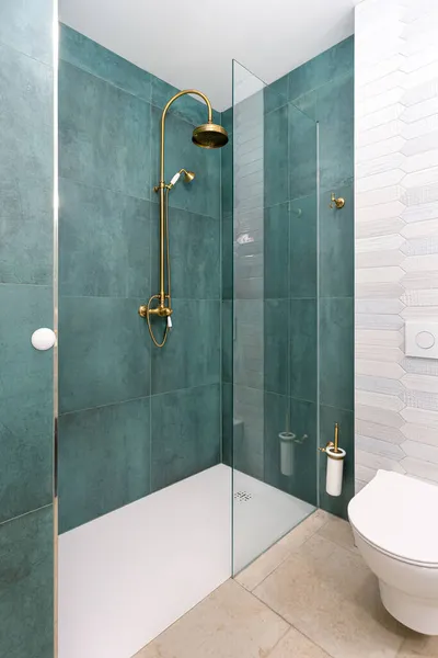 Shower Toilet Summer Apartment Bathroom Green Tiles Stock Picture