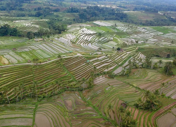 Drone Shot Jatiluwih Rice Terraces Tabanan Regency Bali Indonesia — Foto de Stock