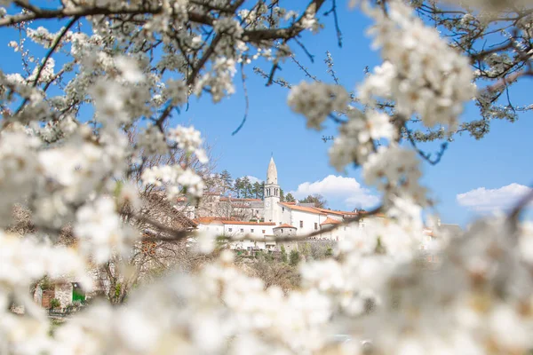 Lovely Village Stanjel Slovenian Karst Early Spring — Stock Photo, Image