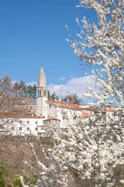 Precioso Pueblo Stanjel Karst Esloveno Principios Primavera —  Fotos de Stock