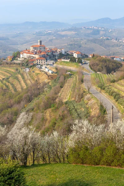 Smartno Village Dans Région Slovène Brda Début Printemps — Photo