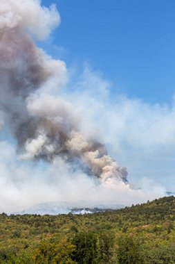 Şiddetli rüzgar ve kuraklıkla vahşi yangında patlama