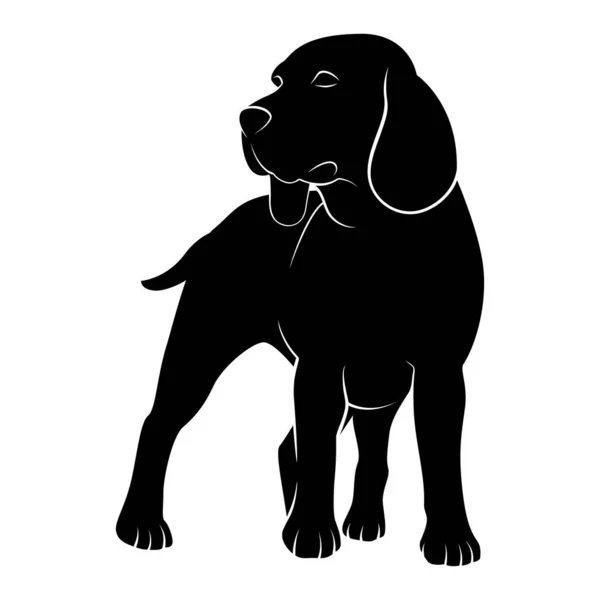 Beagle Black White Vector Isolated Illustration White Background — Wektor stockowy