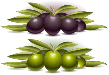 iki zeytin bileşimi