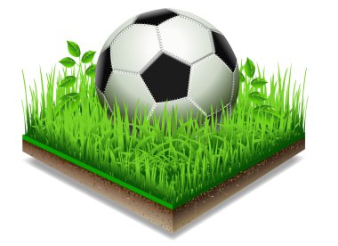 Futbol topu üzerinde beyaz izole ot plaka