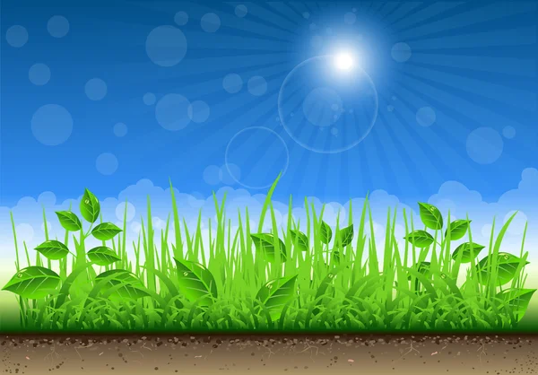 Gras rand op heldere hemelachtergrond — Stockvector