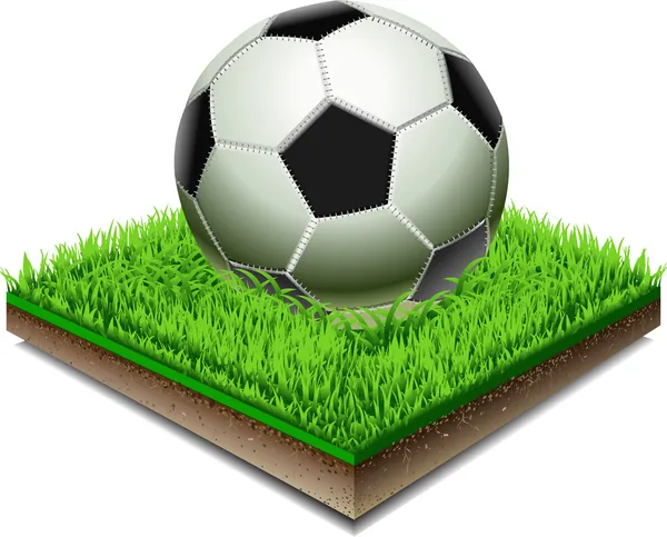 Voetbal op de grasplaat geïsoleerd op witte achtergrond — Stockvector