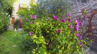 Verona İtalya - yaklaşık Aralık 2013: Yazlık Bahçe