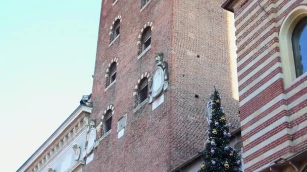 VERONA ITALY - CIRCA DECEMBER 2013: Piazza dei Signori with Christmas Tree — Stock Video