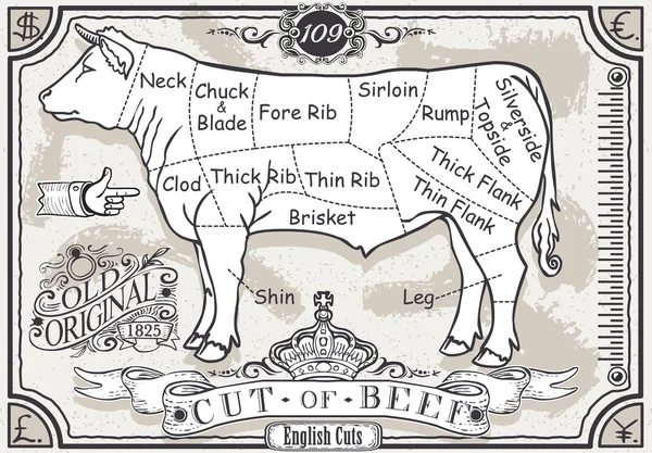 Vintage Pastel Página de Inglés Cut of Beef — Archivo Imágenes Vectoriales