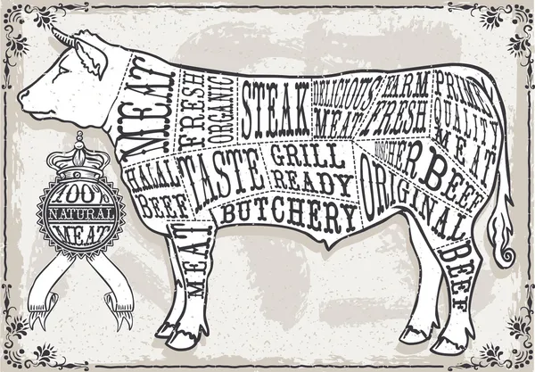 Vintage Pastel Page of Cut of Beef — Stock Illustration Vintage Pastel Page of Cut of Beef Vector Graphics