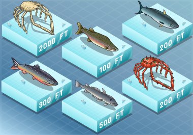 Isometric Fishes on the Sea clipart