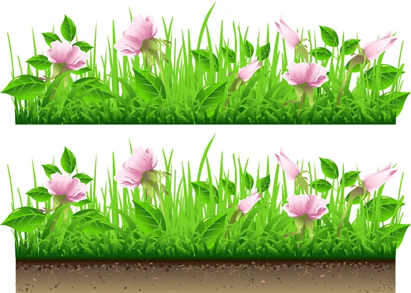 Frontera de hierba con flores aisladas sobre fondo blanco — Vector de stock