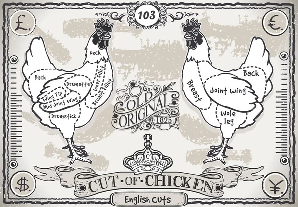 Vintage Pageof English Cut of Chicken — Stock Vector
