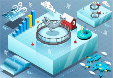 Isometric Infographic of Sea Farmed Fish clipart