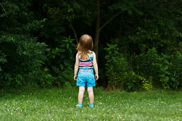 Little girl staring into woods — Stock Photo, Image