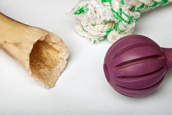 Assortment of dog toys against white background — Stock Photo, Image