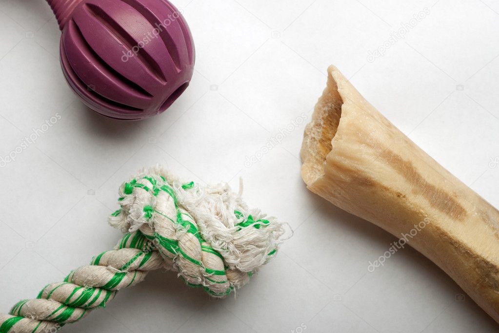 Variety of dog toys against white background