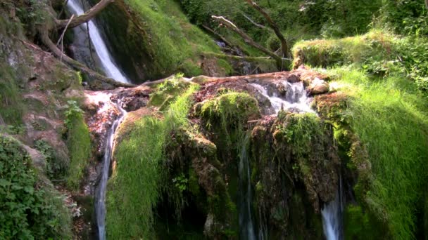 Creek, primavera beatiful — Video Stock