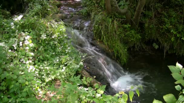 Hermosa cascada, naturaleza pacífica — Vídeos de Stock