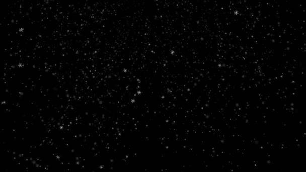 Loopable Snowflakes animation. Isolé 