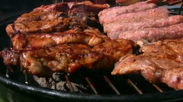 Frango e bife cozinhando em uma grelha a carvão 2 — Vídeo de Stock