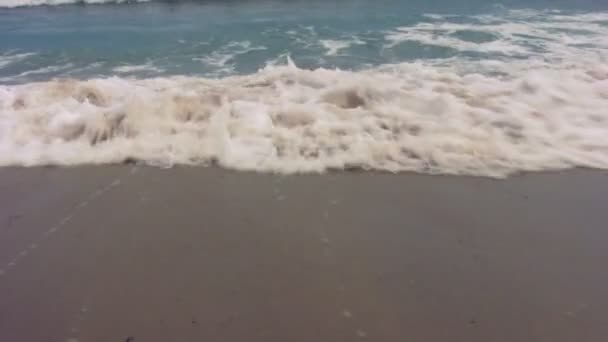 Estate sulla spiaggia — Video Stock