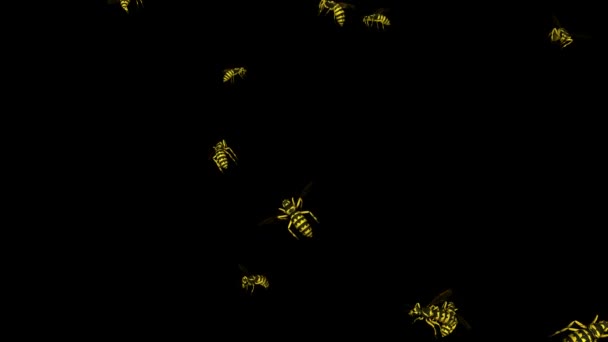 Looping Wasp Swarm Animation 1 — Stock Video