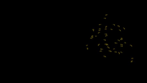 Schleife Wespenschwarm Animation 2 — Stockvideo