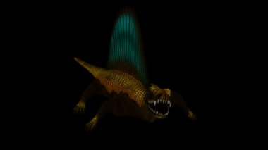 Dikişsiz Loop dimetrodon animasyon 2