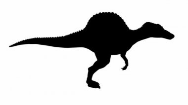 Spinosaurus 01 yürümek